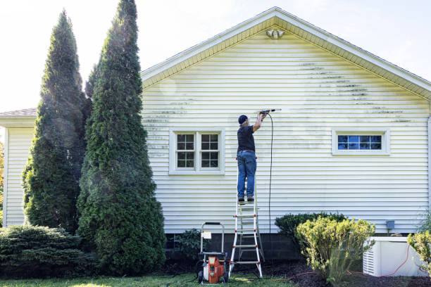 Best Gutter Cleaning  in Long Branch, VA